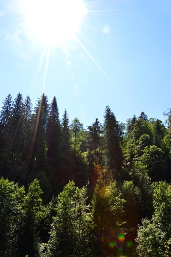 Ferienwohnung Nico Mühlbach am Hochkönig 外观 照片
